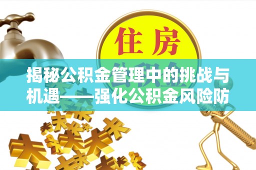 靖远揭秘公积金管理中的挑战与机遇——强化公积金风险防控的多维策略