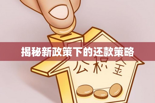 靖远揭秘新政策下的还款策略