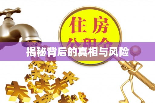 靖远揭秘背后的真相与风险