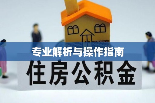 靖远专业解析与操作指南