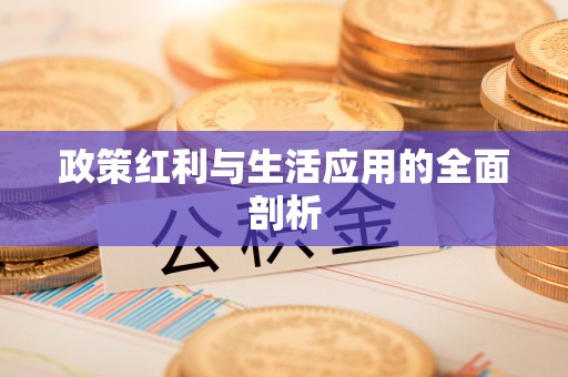 靖远政策红利与生活应用的全面剖析