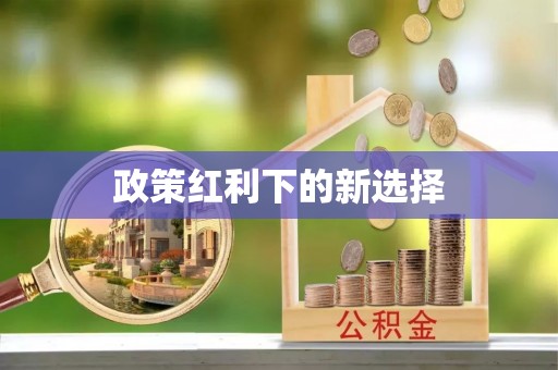 靖远政策红利下的新选择