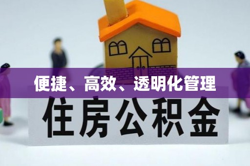 靖远便捷、高效、透明化管理